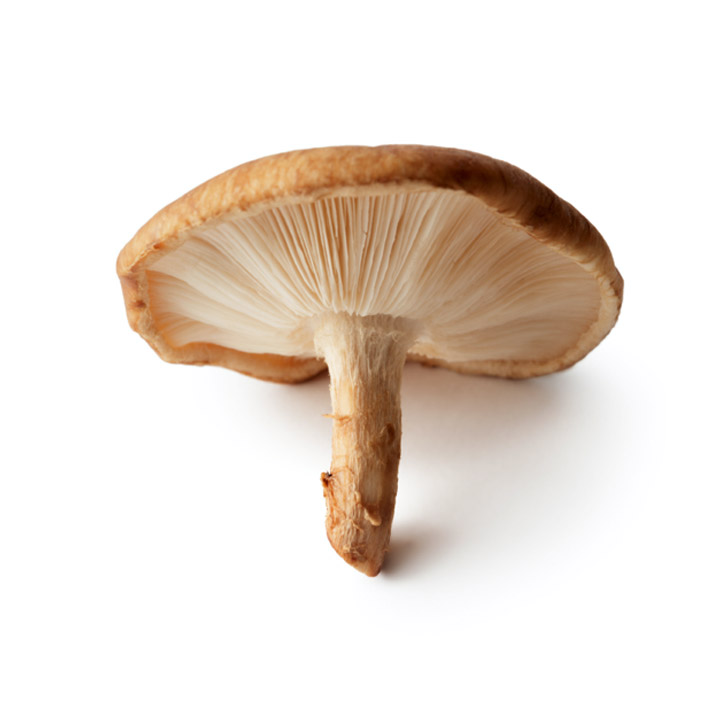 Shiitake Mushroom